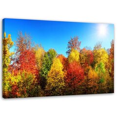 Печать холста, Осенние деревья 59,99 цена и информация | Картины | 220.lv