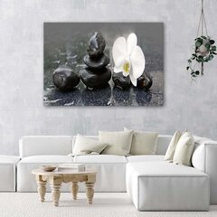 Glezniecība uz audekla, Zen akmeņi un orhidejas cena un informācija | Gleznas | 220.lv