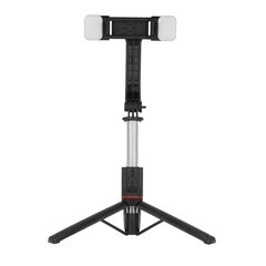 Selfie Stick - with detachable lamps, tripod and bluetooth remote control - L13D Black цена и информация | Моноподы для селфи («Selfie sticks») | 220.lv
