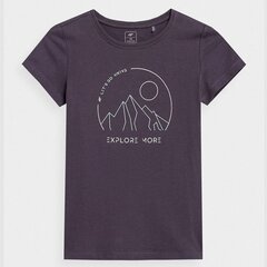 T-krekls meitenēm 4f, pelēks цена и информация | Рубашки для девочек | 220.lv