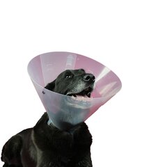 Pēcoperācijas apkakle suņiem KVP Betsy (23-27 cm) cena un informācija | Apģērbi suņiem | 220.lv