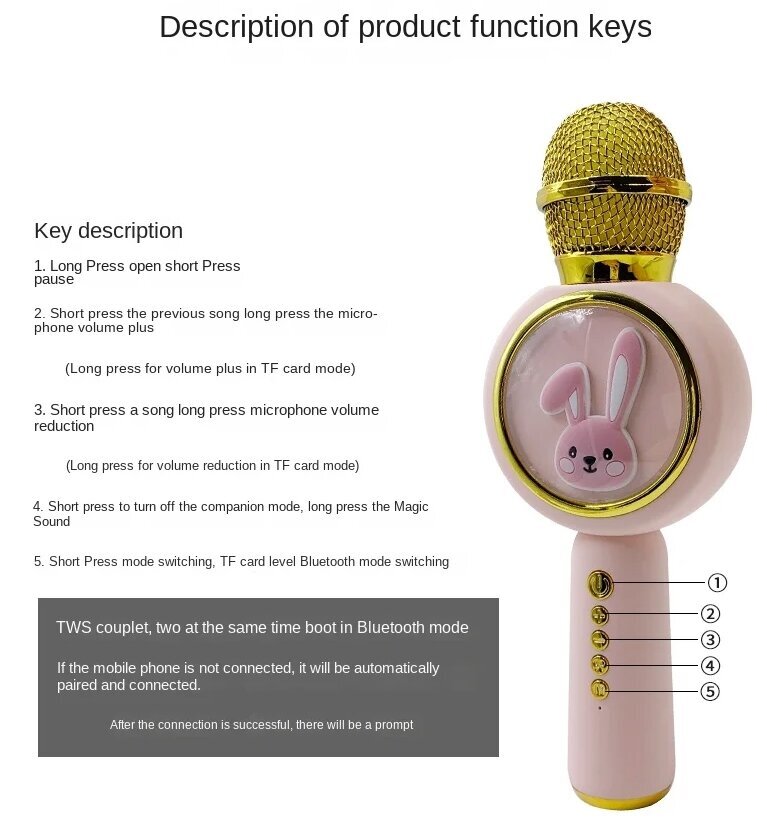 Karaoke mikrofons Bluetooth TWS, balts cena un informācija | Attīstošās rotaļlietas | 220.lv