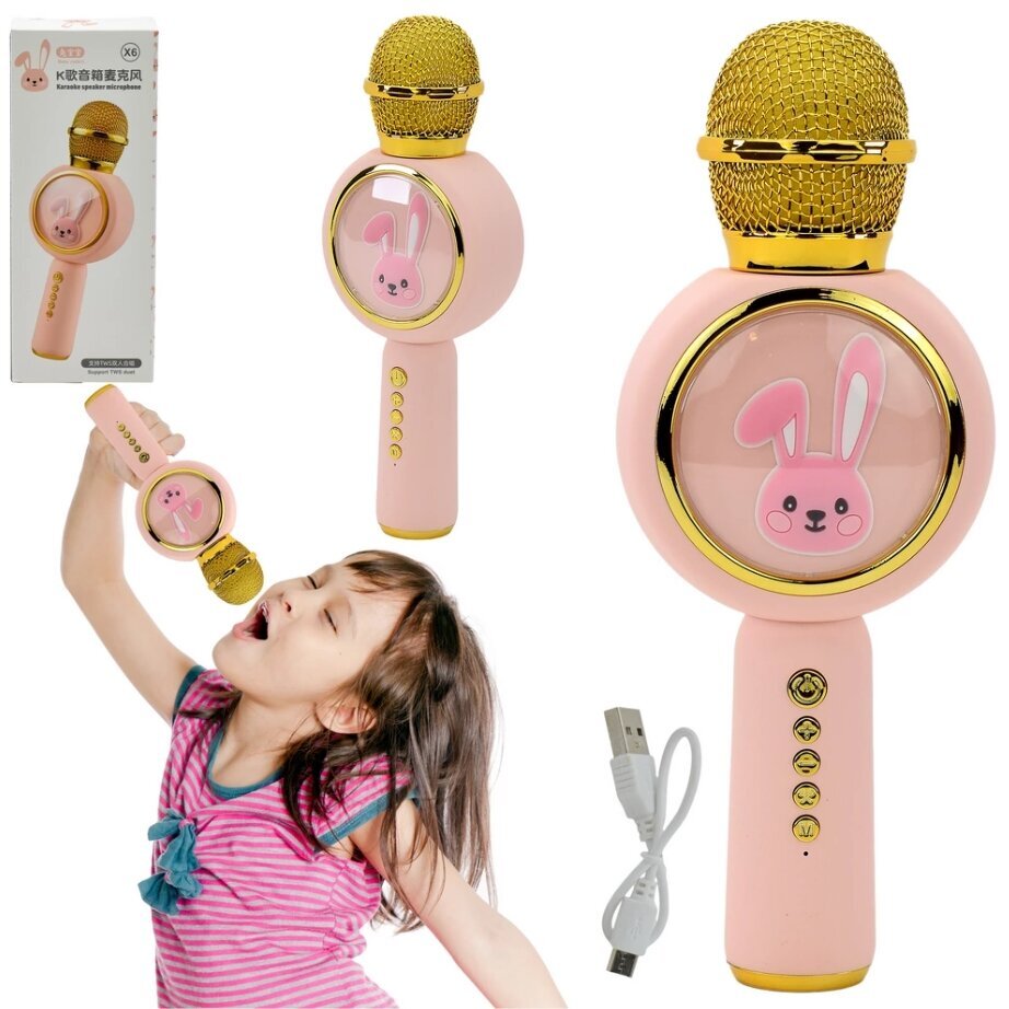 Karaoke mikrofons Bluetooth TWS, rozā cena un informācija | Attīstošās rotaļlietas | 220.lv