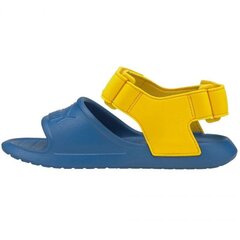 Sandales zēniem Puma, zilas cena un informācija | Bērnu sandales | 220.lv