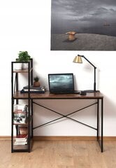 Bēniņu stila rakstāmgalds ar papildu MDF grāmatu skapi 120x60x75/122 cm цена и информация | Компьютерные, письменные столы | 220.lv