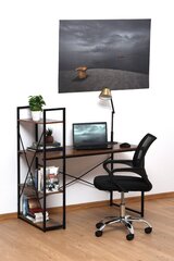 Письменный стол, коричневый/черный цвет цена и информация | Компьютерные, письменные столы | 220.lv