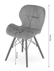 2-u krēslu komplekts Lago, pelēks цена и информация | Стулья для кухни и столовой | 220.lv