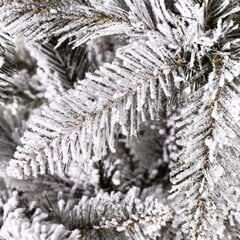 Kaukāza sniega egle Springos CT0125, 220 cm cena un informācija | Mākslīgās egles, vainagi, statīvi | 220.lv