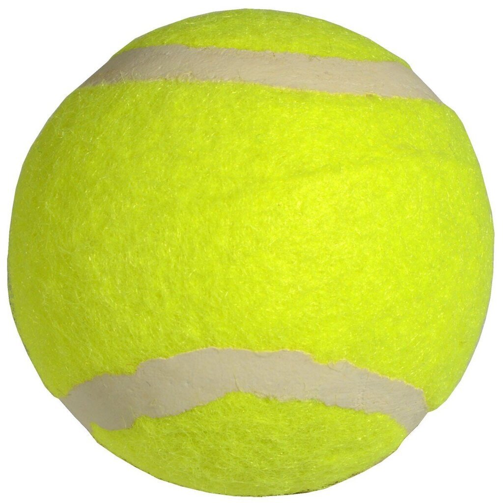 Tenisa bumbiņa, dzeltena cena un informācija | Āra tenisa preces | 220.lv