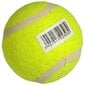 Tenisa bumbiņa, dzeltena cena un informācija | Āra tenisa preces | 220.lv