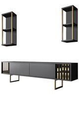 Viesistabas mēbeļu komplekts, Asir, TV galds 180 x 30 x 50 cm, dīvāns 90 x 60 x 40 cm, melns un zelta krāsā cena un informācija | Sekcijas | 220.lv