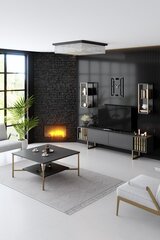 Viesistabas mēbeļu komplekts, Asir, TV galds 180 x 30 x 50 cm, dīvāns 90 x 60 x 40 cm, melns un zelta krāsā cena un informācija | Sekcijas | 220.lv