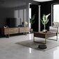 Viesistabas mēbeļu komplekts, Asir, TV galds 180 x 30 x 50 cm, dīvāns 90 x 60 x 40 cm, brūns un zelta krāsā cena un informācija | Sekcijas | 220.lv