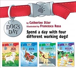 Dog's Day Set #1-4 cena un informācija | Grāmatas pusaudžiem un jauniešiem | 220.lv