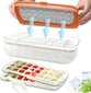 Ledus kubiņu veidņu komplekts (ledus trauks + 2 veidnes un ledus kubiņu paliktnis) ar vāku oranžs цена и информация | Virtuves piederumi | 220.lv