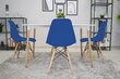 2 krēslu komplekts Osaka, zils/brūns цена и информация | Virtuves un ēdamistabas krēsli | 220.lv