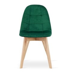 Набор из 3 стульев Bora, зеленый цвет цена и информация | Стулья для кухни и столовой | 220.lv