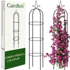 Dārza kolonnu lapene Gardlov 21029 cena un informācija | Dārza dekori | 220.lv