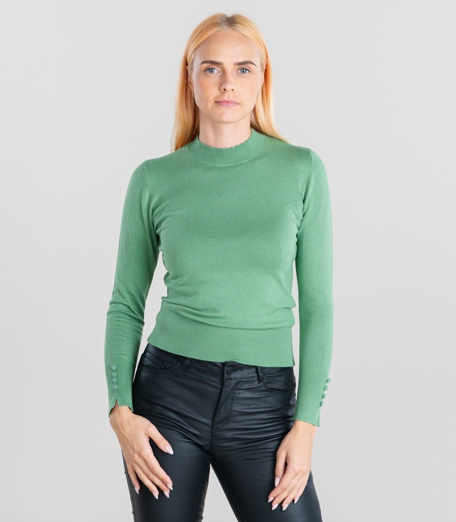 Hailys džemperis sievietēm Malta DZ*02, zaļš цена и информация | Sieviešu džemperi | 220.lv