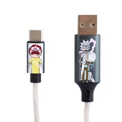 Apgaismots uzlādes kabelis ar savienotājiem USB A-C, 1,2 m garš Rick and Morty cena un informācija | Savienotājkabeļi | 220.lv