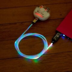 Apgaismots uzlādes kabelis ar savienotājiem USB A-C, 1,2 m garš Rick and Morty cena un informācija | Savienotājkabeļi | 220.lv