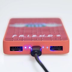 Ārējais akumulators Friends 6000 mAh cena un informācija | Lādētāji-akumulatori (Power bank) | 220.lv