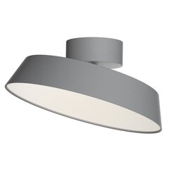 Nordlux griestu lampa Kaito Dim 2220506010 цена и информация | Потолочные светильники | 220.lv