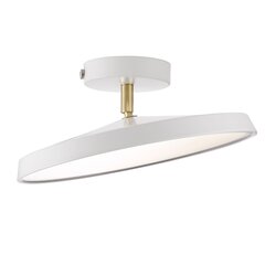 Nordlux griestu lampa Kaito Pro 2220516001 цена и информация | Потолочные светильники | 220.lv