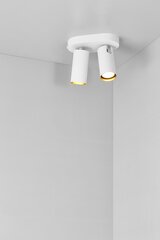 Nordlux потолочный светильник Mimi 2120456001 цена и информация | Потолочные светильники | 220.lv