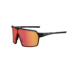 Солнцезащитные очки LIMAR HORUS MATT BLACK TITANIUM цена и информация | Спортивные очки | 220.lv