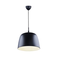 Nordlux подвесной светильник Norbi 2220133003 цена и информация | Настенный/подвесной светильник Eye Spot 11 BL, чёрный | 220.lv
