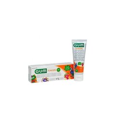 Zobu pasta Gum Junior Orange, 50 ml cena un informācija | Zobu pastas, birstes | 220.lv