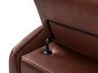 Divvietīgs ādas dīvāns Windsor & Co Hubble, 103x176x76 cm, tumši brūns cena un informācija | Dīvāni | 220.lv