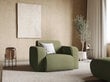 Krēsls Windsor & Co Lola, zaļš cena un informācija | Atpūtas krēsli | 220.lv
