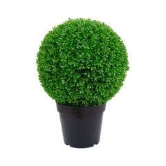 Zaļš augs BOXWOOD, H60cm, melns pods cena un informācija | Mākslīgie ziedi | 220.lv