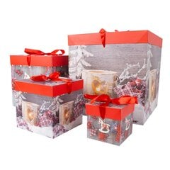 Подарочная коробка XMAS GIFT-1, 10x10x10см, микс цена и информация | Рождественские украшения | 220.lv