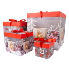 Dâvanu kastîte XMAS GIFT-4, 30x30x30cm, mix цена и информация | Упаковочные материалы для подарков | 220.lv