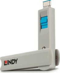 Lindy 40465 цена и информация | Адаптеры и USB разветвители | 220.lv