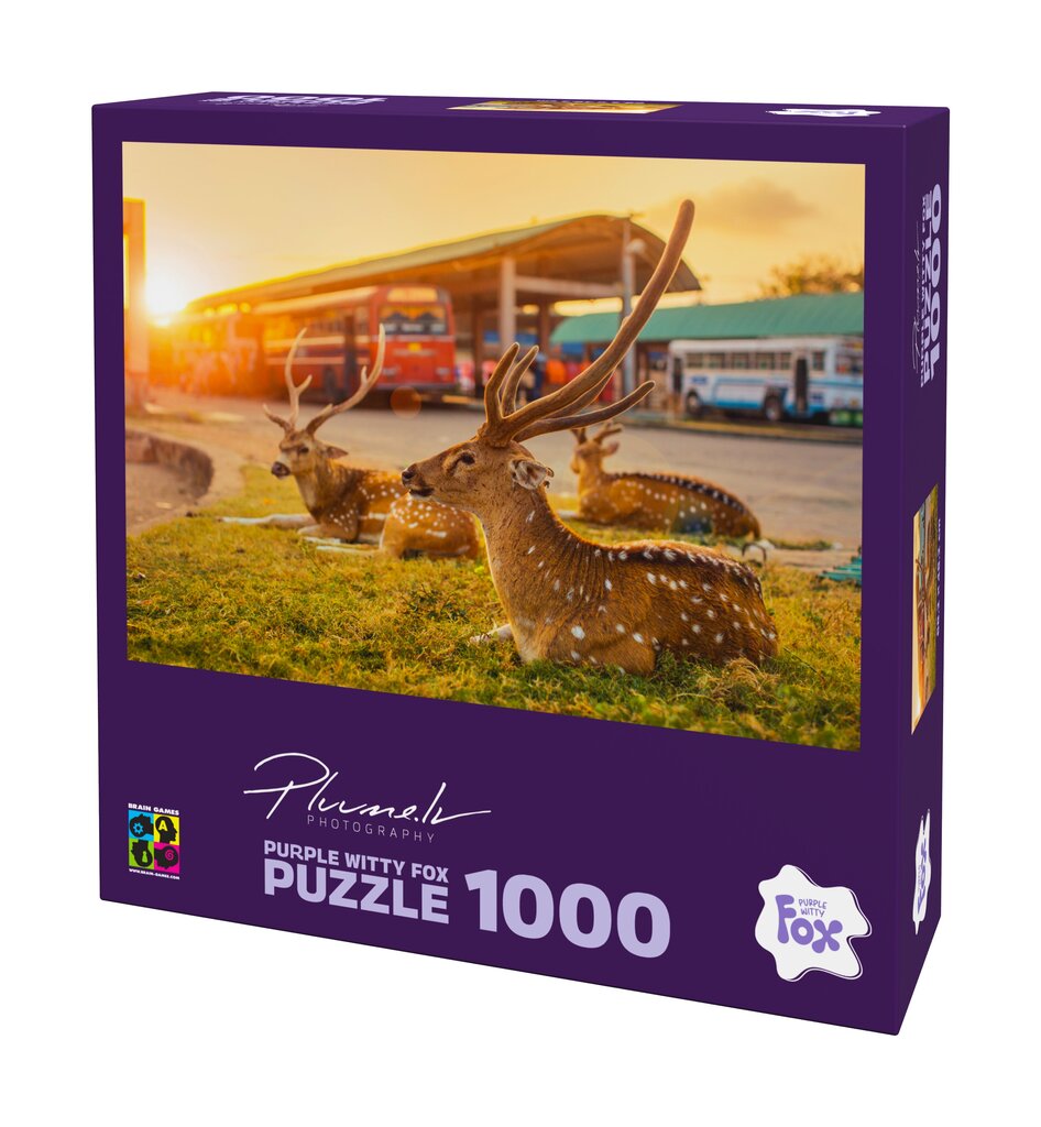 Puzle Sri lanka,Trincomalee 1000 цена и информация | Puzles, 3D puzles | 220.lv