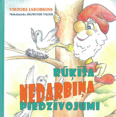 Rūķīša Nedarbiņa piedzīvojumi cena un informācija | Pasakas | 220.lv