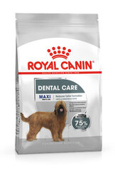 Royal Canin Maxi Dental Care для взрослых собак крупных пород, 3 кг цена и информация |  Сухой корм для собак | 220.lv