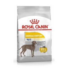 Royal Canin Maxi dermacomfort pieaugušajiem lielu šķirņu suņiem, 3 kg cena un informācija | Sausā barība suņiem | 220.lv