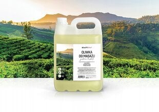 Masāžas eļļa ar zaļās tējas smaržu Intai, 5000 ml cena un informācija | Masāžas eļļas | 220.lv