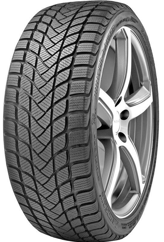 Landsail Winter Lander Nordic 205/50R17 93 T cena un informācija | Ziemas riepas | 220.lv