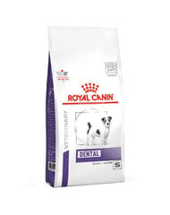 Royal Canin Small Dog dental mazo šķirņu suņiem, 3,5 kg cena un informācija | Sausā barība suņiem | 220.lv