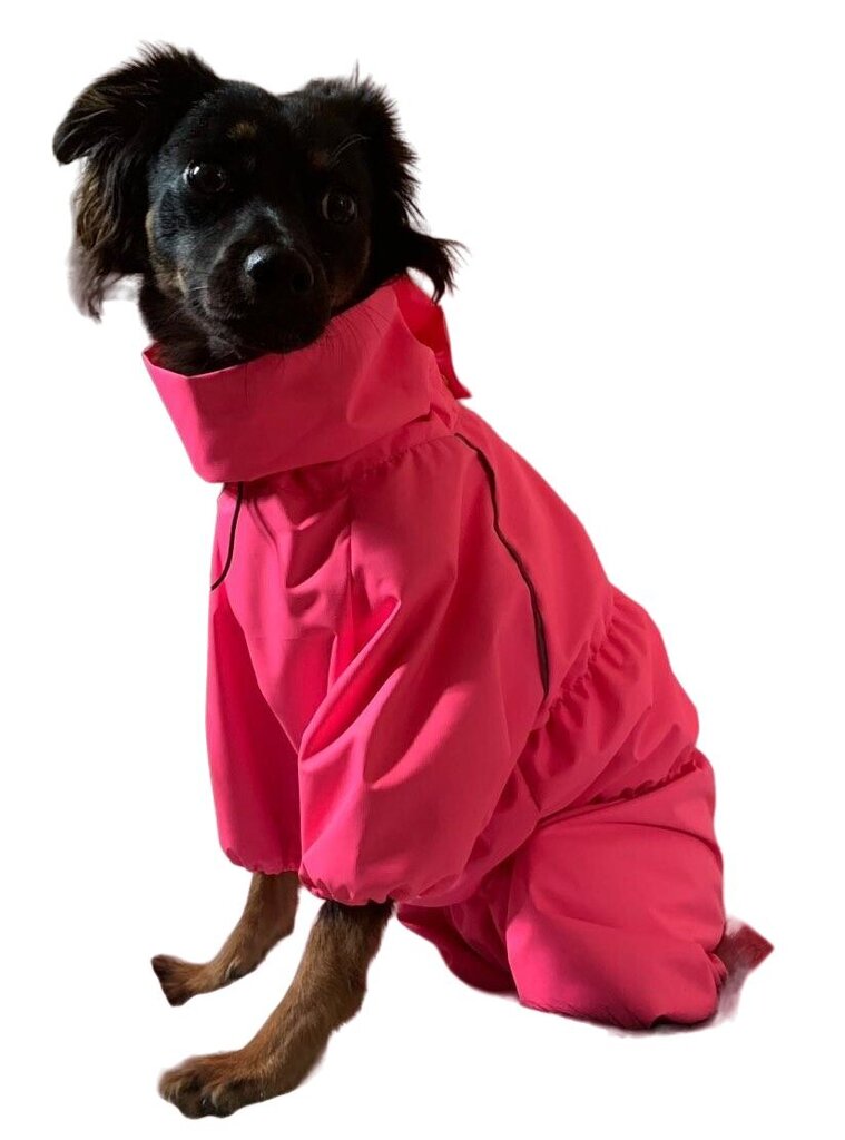 Kombinezons - lietusmētelis Bārbijas stilā цена и информация | Apģērbi suņiem | 220.lv