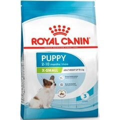 Royal Canin X-Small mazo šķirņu jauniem kucēniem, 3 kg cena un informācija | Sausā barība suņiem | 220.lv