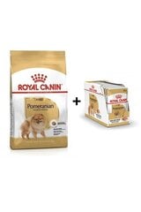 Royal Canin Pomeranian Adult 3 kg + Pomeranian Adult pieaugušiem miniatūru špicu šķirnes suņiem, 12x85g cena un informācija | Sausā barība suņiem | 220.lv