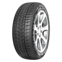 Minerva Frostrack UHP 225/55R17 101 V XL cena un informācija | Ziemas riepas | 220.lv