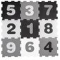 Mīkstais putu paklājs - puzle Smily Play 3526 cena un informācija | Attīstošie paklājiņi | 220.lv